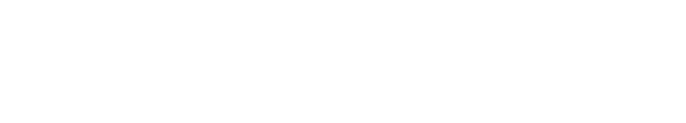 LOGO NEXEM